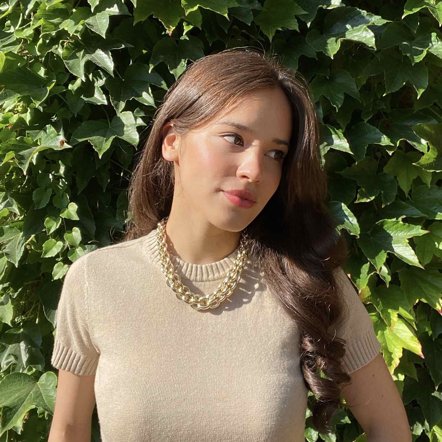 Esme Gold Plated Brass Multi Link Necklace